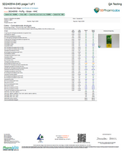 PUFFY 2G - Glaze (Super Blends HHC) - Hybrid