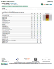 PUFFY 2G - Space Balls (Super Blends HHC) - Sativa