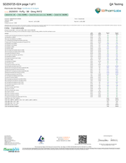 Puffy Vape Disposable