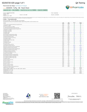 Puffy Vape Disposable