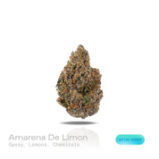 PUFFY Amarena de Limon is a sativa-dominant hybrid THCa strain, born from the legendary cross between Gelato 41 × ZKZ. The aroma bursts with sharp gassy notes, zesty lemon brightness, and a pungent chemical edge for a bold, unforgettable profile. Visually, the buds appear thick and rounded, showcasing dark green tones with flashes of purple, blanketed in shimmering trichomes and highlighted by vibrant orange pistils. Consumers often describe it as delivering a lively, mood-brightening high that boosts creat