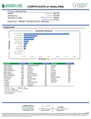 PUFFY THCa concentrate Glitter Bomb is a hybrid strain with an impressive lineage, reportedly combining the potency and pungent aroma of Grape Gas with the resin-coated brilliance of OGKB Blueberry Headband. According to user reports, this strain leans toward indica-dominant effects, often delivering deep relaxation paired with a hazy, uplifting daze.Some users mention experiencing an initial burst of energy, but most agree that Glitter Bomb is better suited for winding down and relaxation. Its dazzling app