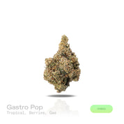 PUFFY Gastro Pop is a balanced hybrid THCa strain, born from the flavorful fusion of Apples & Bananas and Grape Gas. The aroma features a tropical medley with sweet berries and a subtle hint of gas. Visually, the buds are dense and compact, with deep green and soft purple tones, orange pistils, and a frosty white trichome coating. Consumers often report an uplifting euphoria that sparks creativity and sociability, paired with gentle body relaxation that eases stress, anxiety, and discomfort, while also stim