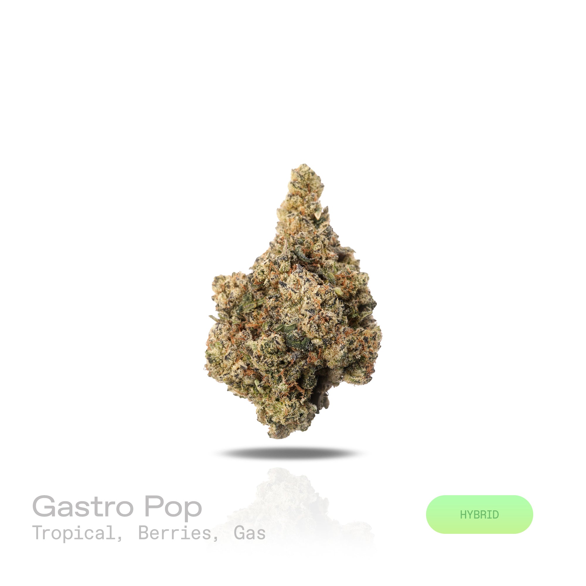 PUFFY Gastro Pop is a balanced hybrid THCa strain, born from the flavorful fusion of Apples & Bananas and Grape Gas. The aroma features a tropical medley with sweet berries and a subtle hint of gas. Visually, the buds are dense and compact, with deep green and soft purple tones, orange pistils, and a frosty white trichome coating. Consumers often report an uplifting euphoria that sparks creativity and sociability, paired with gentle body relaxation that eases stress, anxiety, and discomfort, while also stim