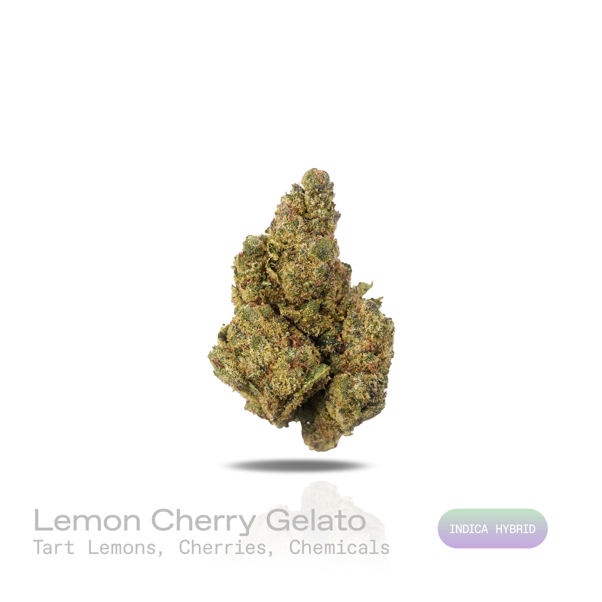 PUFFY Lemon Cherry Gelato is an indica-dominant  hybrid THCa strain, expertly crafted from a potent cross between Sunset Sherbet and Girl Scout Cookies. The aroma is a sharp blend of tart lemons and ripe cherries, accented by a distinct chemical undertone. Visually, buds are dense and frosty, featuring deep green and purple hues with bright orange pistils and a thick coating of sparkling trichomes. Consumers often report an initial wave of uplifted, happy euphoria, followed by a soothing body relaxation acc