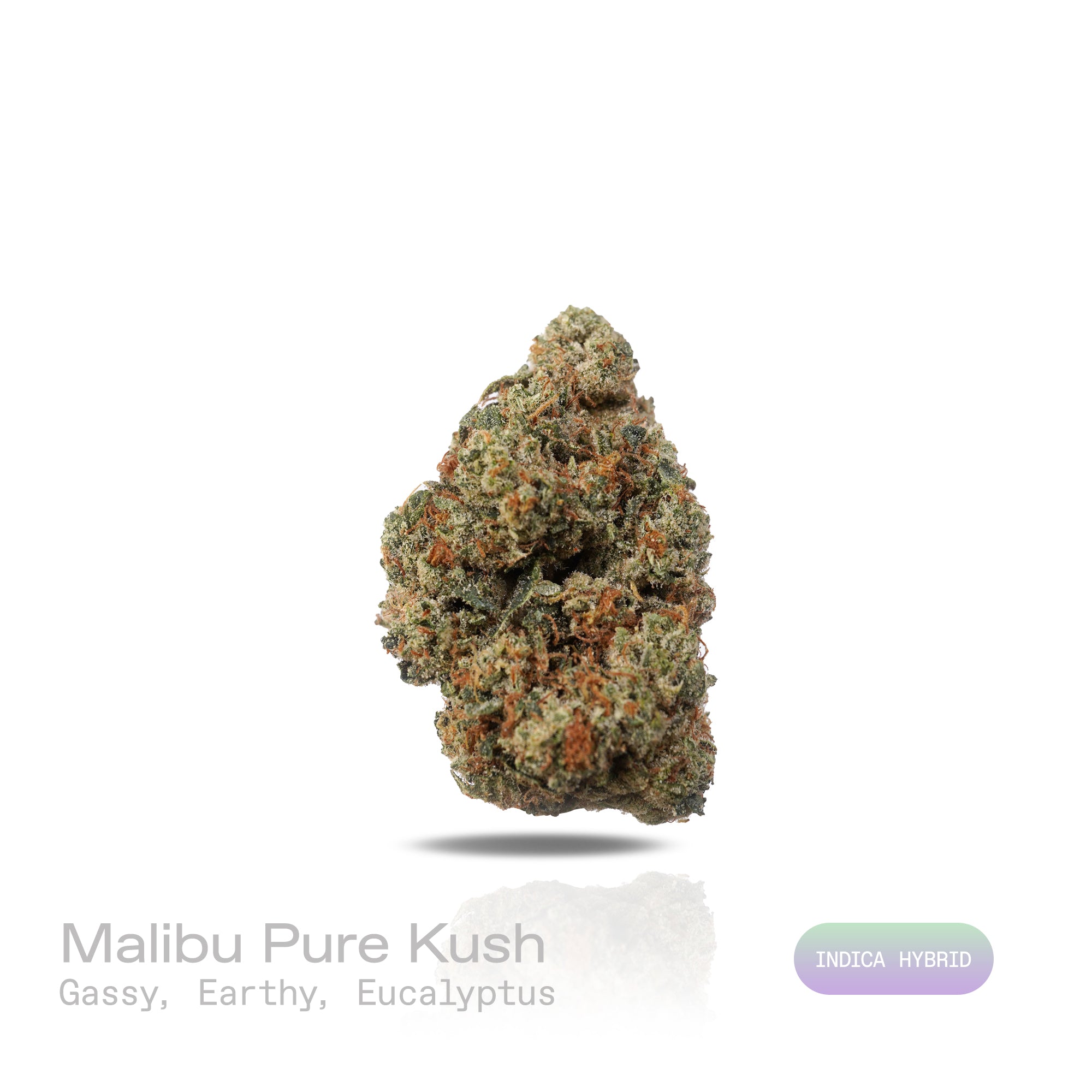 PUFFY Malibu Pure Kush is an indica-dominant THCa strain born from the legendary Hindu Kush and an undisclosed parent strain. The aroma is sharp and invigorating, blending gassy notes with earthy undertones and a cool hint of eucalyptus. Visually, buds are dense, coated in sticky resin and highlighted by bright, fiery pistils. Consumers often report a deeply euphoric and relaxing experience with pronounced stress relief, while many also find it beneficial for improving sleep, easing pain, and reducing anxie