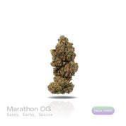 PUFFY Marathon OG is a potent indica-dominant hybrid THCa strain, crafted from the legendary OG Kush lineage, which includes either Chemdawg, Lemon Thai, or Hindu Kush. The aroma is bold and layered, combining gassy sharpness with earthy depth and a touch of warm spice. Visually, the buds are dense and deep forest green, accented by darker undertones, vivid bright orange pistils, and a thick coating of frosty white trichomes, signaling its high potency. Consumers often report a balance of euphoria and relax