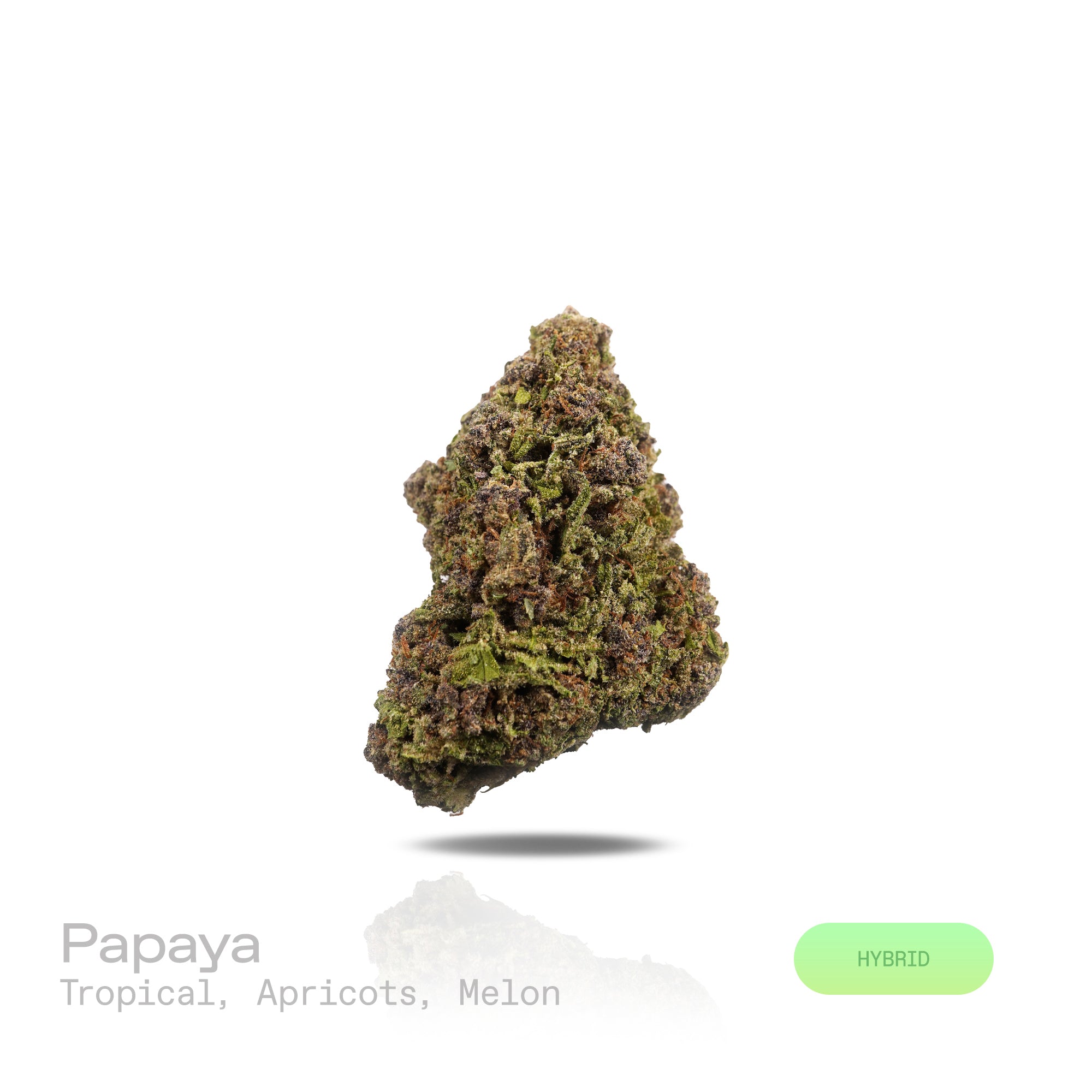 PUFFY Papaya is a premium hybrid THCa strain, created from a cross between Citral #13 and Ice #2. The aroma bursts with tropical vibrance, blending juicy apricot sweetness and refreshing melon undertones for a lush, island-inspired scent. Visually, this strain showcases dense, compact buds in shades of bright to deep lime green, heavily coated in white, milky trichomes that give it a frosty appearance. Consumers often describe the effects as euphoric and uplifting, with a gentle cerebral buzz that enhances