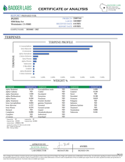 PUFFY ORZ Pure Live Resin THCa Disposable. Pure and potent, our line of 65A Live Resin THCa disposable are pure extracts from single-sourced flowers for a top-shelf experience. Each disposable contains approximately 65% THCa 35% high terpene extract and full spectrum cannabinoids. Each batch is hand-selected for the best fresh-frozen material rich in flavinoids, terpenes, and THCa. We use a ceramic coil to create a richer flavor.
