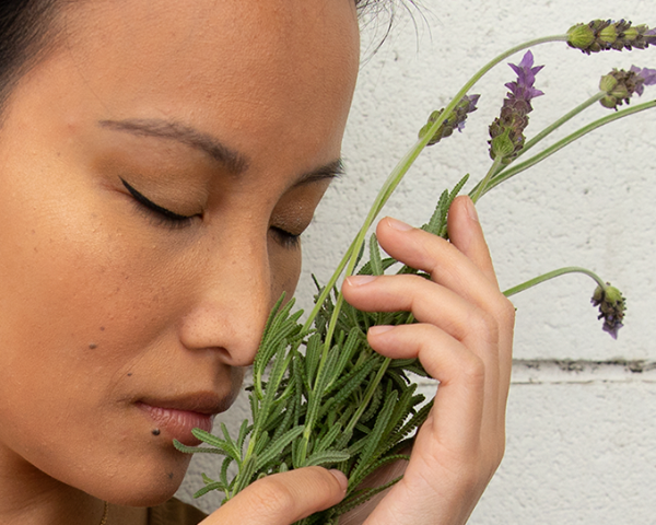 JULY-20-Terps-banner-600.png?v=1697800347