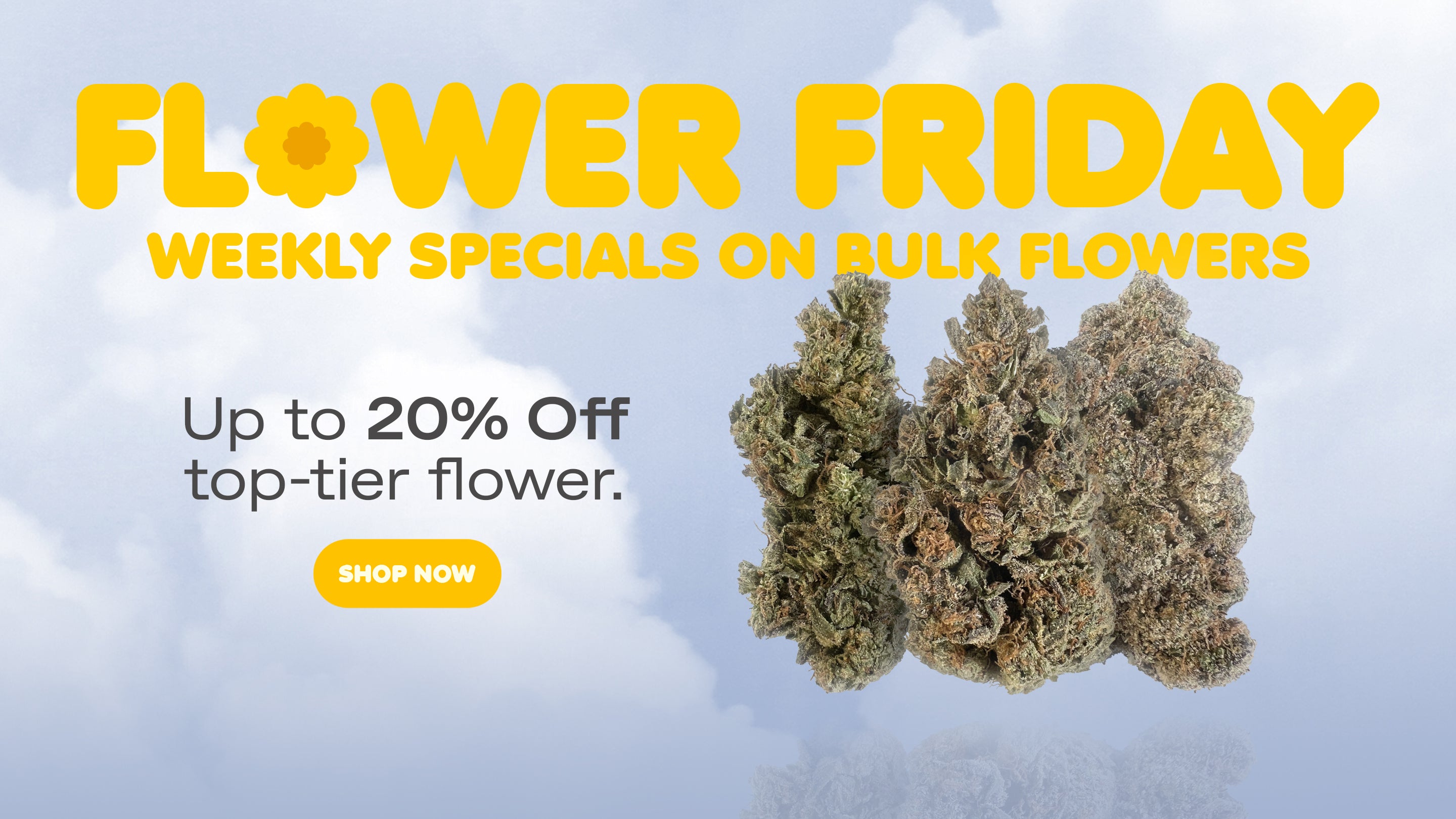 FLOWER_FRIDAY_BANNER_bf3d3d56-1502-4b99-9ae5-dee966b46609.jpg