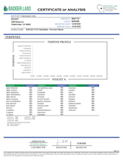 PUFFY THCa Moroccan Peaches Badder: The unique whipping technique required to produce badder causes the cannabinoids to crystalize and create a smooth, creamy consistency. This wax is ultra-potent and easy to load onto a dab nail, thanks to its soft and malleable form.