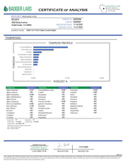 PUFFY THCa Gelato: Extract crumble using butane or liquefied petroleum gas. This type of concentrate is extremely potent, and the crumb-like consistency makes it easy to dose.