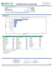 PUFFY THCa Crumble Lemon Cherry Gelato: Extract crumble using butane or liquefied petroleum gas. This type of concentrate is extremely potent, and the crumb-like consistency makes it easy to dose.