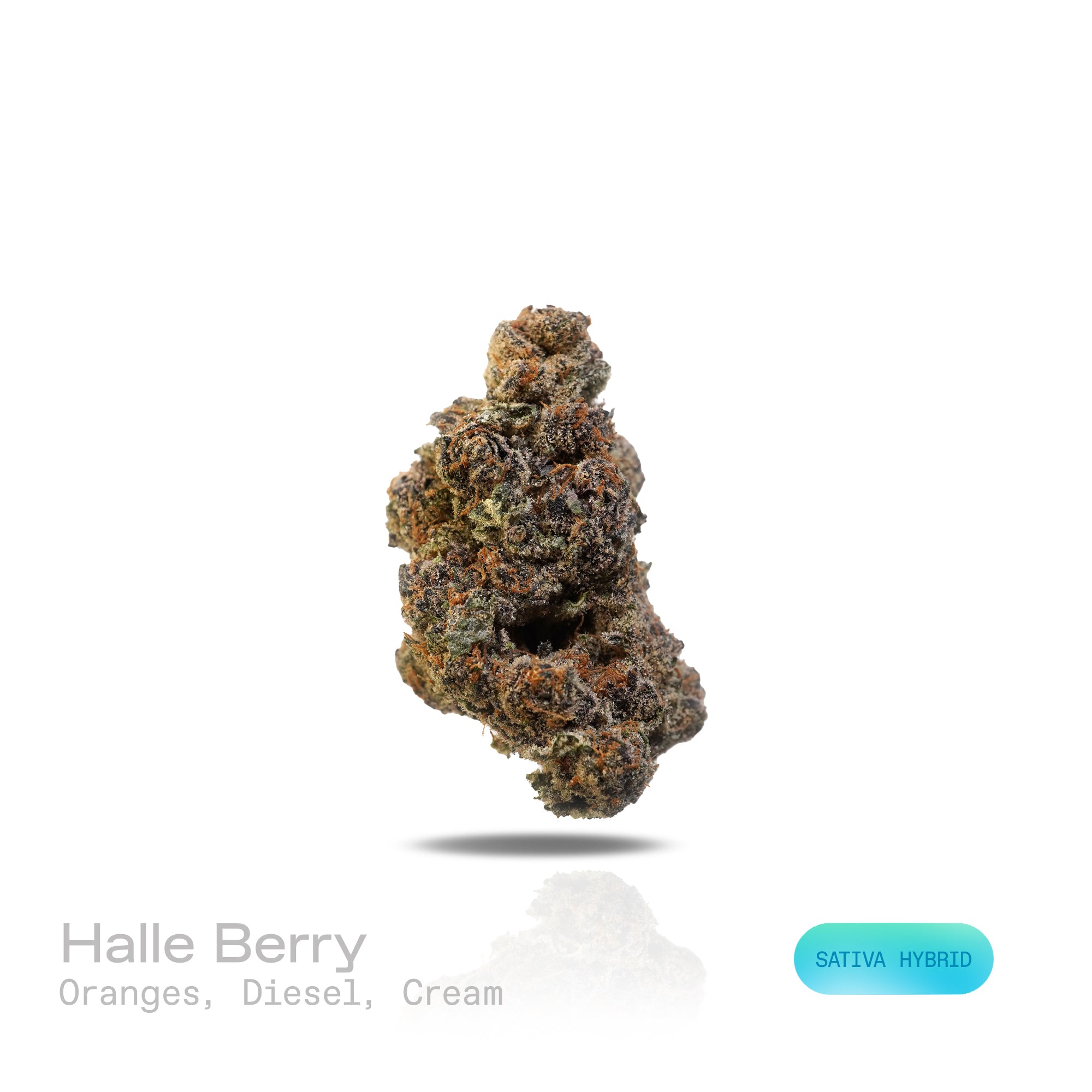PUFFY Halle Berry is a sativa-dominant THCa hybrid, expertly crafted from a cross between Ice Cream Cake and Blockberry. The aroma blends vibrant oranges, sharp diesel, and smooth cream into a bold yet indulgent scent.  Visually, the buds are fluffy and diamond-shaped, showcasing a striking mix of mint-green to deep purple hues, accented by vibrant orange pistils and a thick coating of frosty trichomes. Consumers often describe an initial surge of euphoria, enhanced focus, and increased sociability and talk