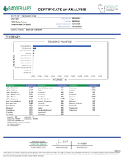 PUFFY Candyland Pure Live Resin THCa Disposable. Pure and potent, our line of 65A Live Resin THCa disposable are pure extracts from single-sourced flowers for a top-shelf experience. Each disposable contains approximately 65% THCa 35% high terpene extract and full spectrum cannabinoids. Each batch is hand-selected for the best fresh-frozen material rich in flavinoids, terpenes, and THCa. We use a ceramic coil to create a richer flavor.