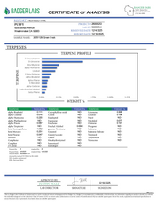 PUFFY Green Crack Pure Live Resin THCa Disposable. Pure and potent, our line of 65A Live Resin THCa disposable are pure extracts from single-sourced flowers for a top-shelf experience. Each disposable contains approximately 65% THCa 35% high terpene extract and full spectrum cannabinoids. Each batch is hand-selected for the best fresh-frozen material rich in flavinoids, terpenes, and THCa. We use a ceramic coil to create a richer flavor.