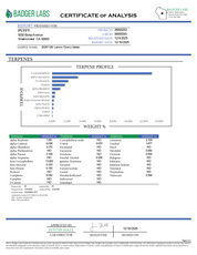 PUFFY Lemon Cherry Gelato Pure Live Resin THCa Disposable. Pure and potent, our line of 65A Live Resin THCa disposable are pure extracts from single-sourced flowers for a top-shelf experience. Each disposable contains approximately 65% THCa 35% high terpene extract and full spectrum cannabinoids. Each batch is hand-selected for the best fresh-frozen material rich in flavinoids, terpenes, and THCa. We use a ceramic coil to create a richer flavor.