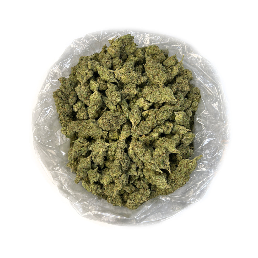 Puffy THC-A Flower Gorilla Glue #4 Gorilla Glue #4 is renowned for its high potency and powerful effects. A hybrid strain resulting from a cross between Chem's Sister, Sour Dubb, and Chocolate Diesel. Gorilla Glue #4 delivers a potent, sedative high that combines deep relaxation with a sense of euphoria. This strain is favored for its ability to alleviate pain, stress, and insomnia, making it a popular choice among users seeking intense relief.