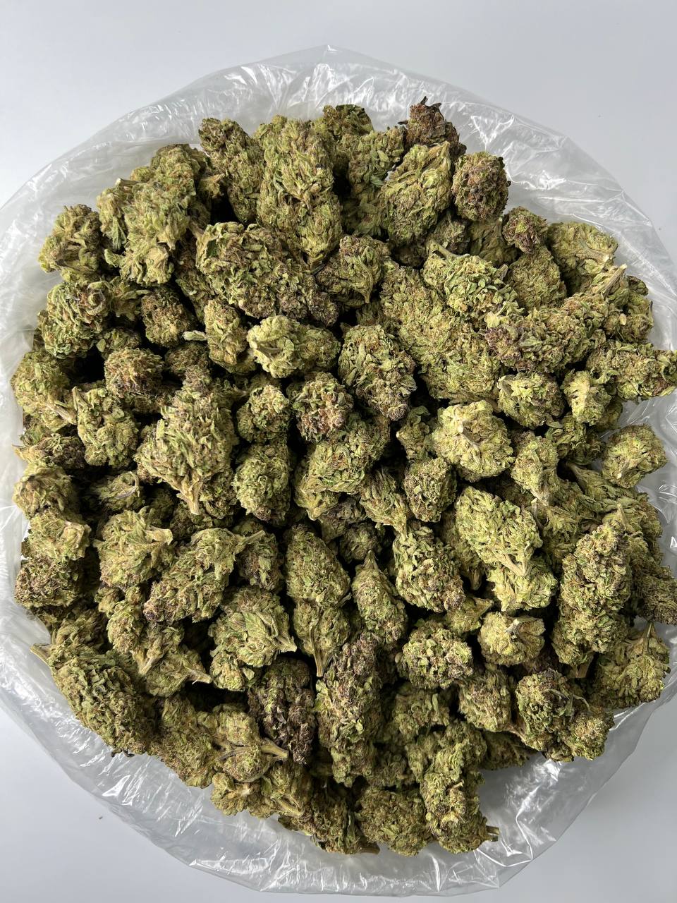 Puffy THC-A Flower Gush Mints Gush Mints is a heavy indica-dominant hybrid produced by crossing Kush Mints and a combination of F1 Durban and Gushers. Its unique blend of terpenes gives this strain a sweet, gassy aroma with notes of pine and mint. Gush Mints starts users off with a euphoric, cerebral high and gradually fades to a mellow, body-centric buzz, making it a great choice for unwinding after a long day. This flower features dark green and purple shades and trichome-covered leaves.