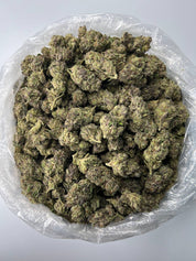 THC-A Flower - Papaya Runtz (Premium Indoor) (Hybrid)