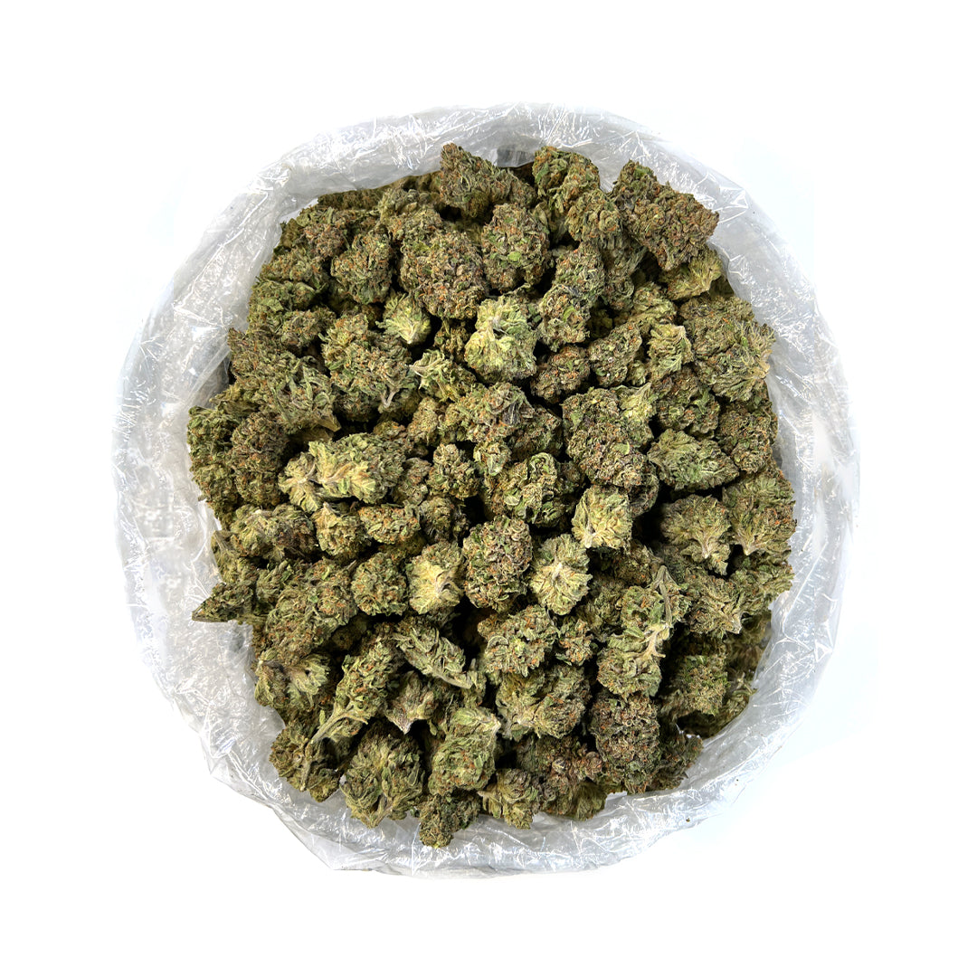 Puffy THC-A Flower Venom Runtz Venom Runtz delivers a potent and balanced high, often inducing both a euphoric uplift and a deep sense of relaxation. Users typically experience enhanced mood and creativity along with a soothing body buzz, making this indica-dominant hybrid perfect for winding down or relaxing at the end of the day. A phenotype from crossing Zkittlez and Gelato, its lineage generally combines the effects of the Runtz strain with those of the venomous and potent parent strain, creating a powe