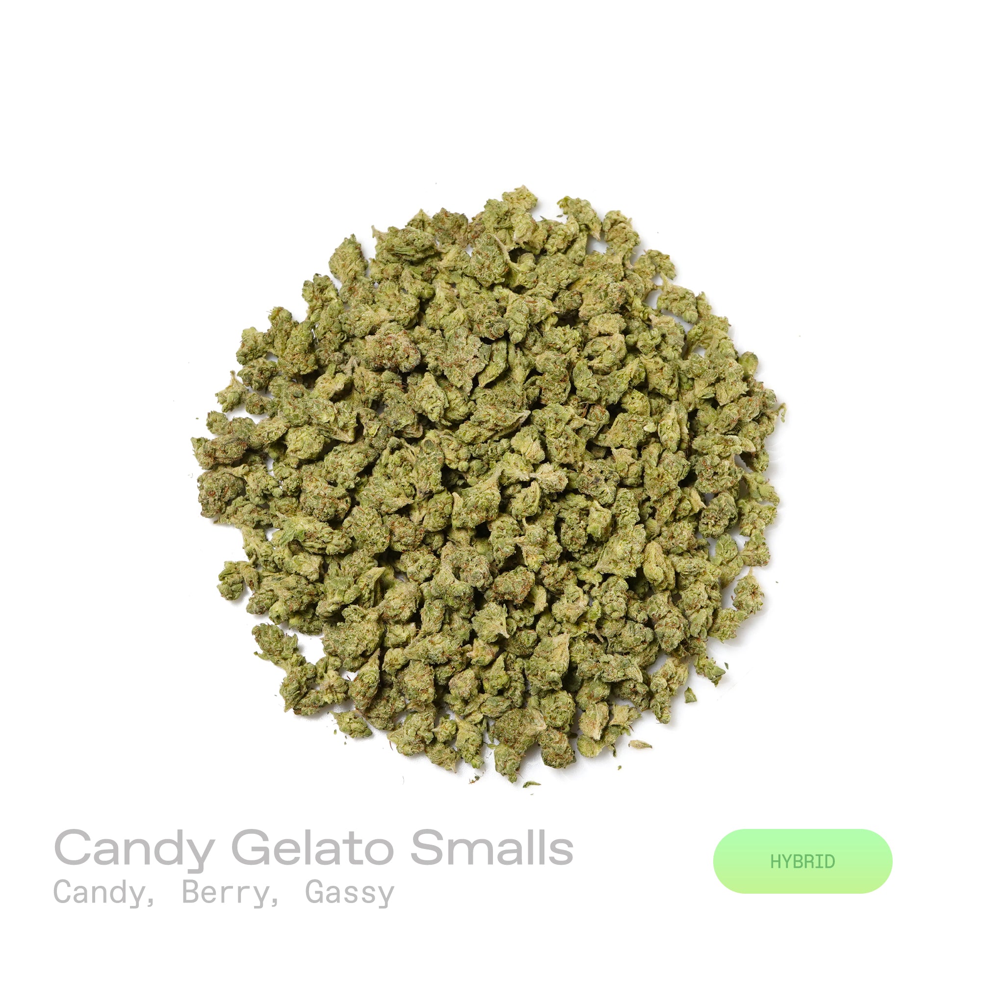  Candyland × GG4 × Gelato. The aroma bursts with sweet candy and ripe berry notes, complemented by a sharp, gassy undertone. Visually, its dense, colorful nugs range from dark forest green to vibrant purple, often coated in a heavy layer of frosty trichomes. Consumers commonly report a fast-acting euphoric lift, delivering mental stimulation and a creative spark making it an ideal comp