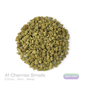 PUFFY 41 Cherries (smalls) is an indica-dominant hybrid THCa strain, expertly crafted from the renowned Gelato #41 and Black Cherry Gelato. The aroma bursts with zesty citrus, tangy sour notes, and a pungent gassy undertone. Visually, dense pine green buds with purple hues and fiery orange pistils are coated in sticky trichomes. Consumers often report a gradually building high that begins with euphoric, uplifting sensations and transitions into deep body relaxation.
