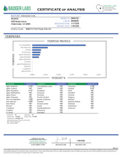 PUFFY Alien OG (smalls) is a balanced hybrid THCa strain, spawned from the renowned pairing of Tahoe OG and Alien Kush. The aroma is a vibrant blend of zesty lemon and fresh pine, awakening the senses with a bright, invigorating freshness. Visually, dense green buds with purple hues and fiery orange pistils are coated in sticky trichomes. Consumers often report a fast-onset cerebral high that brings euphoria, uplifted mood, creativity, and focus, followed by soothing body relaxation.