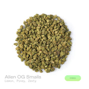 PUFFY Alien OG (smalls) is a balanced hybrid THCa strain, spawned from the renowned pairing of Tahoe OG and Alien Kush. The aroma is a vibrant blend of zesty lemon and fresh pine, awakening the senses with a bright, invigorating freshness. Visually, dense green buds with purple hues and fiery orange pistils are coated in sticky trichomes. Consumers often report a fast-onset cerebral high that brings euphoria, uplifted mood, creativity, and focus, followed by soothing body relaxation.