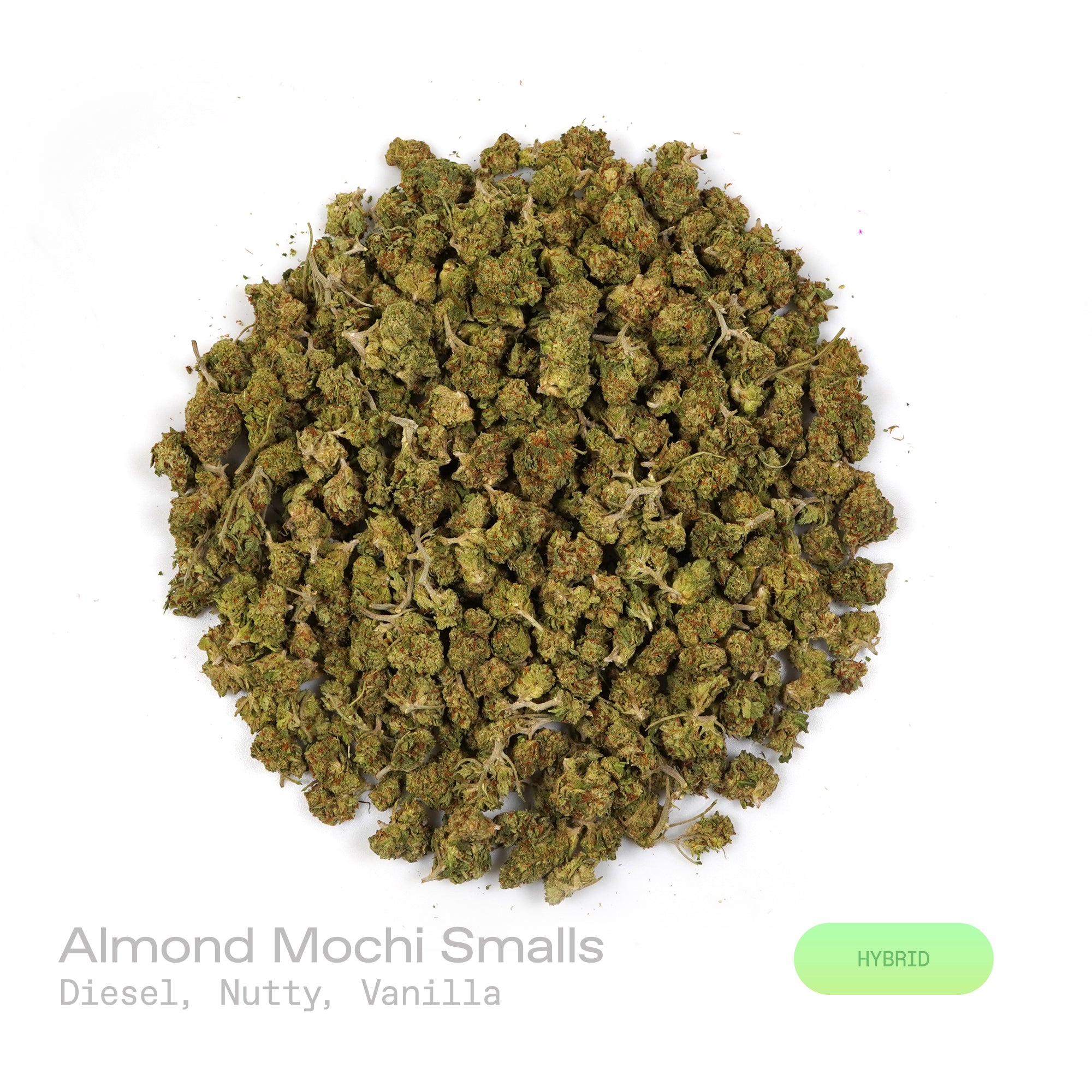 PUFFY Almond Mochi (smalls) is a balanced hybrid THCa strain, crafted from the flavorful cross of Mochi and Biscotti Dough. The aroma is a bold and intriguing blend of diesel, nutty undertones, and a subtle hint of vanilla, creating a rich and inviting scent profile. Visually, dense deep green buds with hints of purple are threaded with fiery orange pistils and coated in a sparkling layer of sticky trichomes. Consumers often report a balanced high combining happy, creative, and euphoric effects with calming