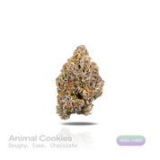 PUFFY Animal Cookies is an indica-dominant hybrid THCa strain, born from the renowned pairing of Girl Scout Cookies (GSC) with Fire OG. The aroma is rich and inviting, blending warm doughy notes with sweet cake and decadent chocolate undertones. Visually, dense green buds with purple hues and fiery orange pistils are coated in sticky trichomes. Consumers often report an initial sense of euphoria and uplifted mood, followed by deep relaxation and body calm, sometimes leading to sedation and full physical eas