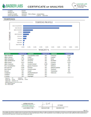 PUFFY Animal Mints THCa is a perfectly balanced hybrid strain, born from the legendary Thin Mint Girl Scout Cookies and Fire OG genetics. This premium strain delivers a rich, sweet minty cookie flavor, complemented by a lightly nutty vanilla exhale that lingers smoothly after every toke. The aroma is just as enticing, blending earthy pine with sharp mint and pungent diesel, all wrapped up in a warm, cookie-like finish as the buds burn. Consumers claims about its long-lasting, deeply relaxing effects, making
