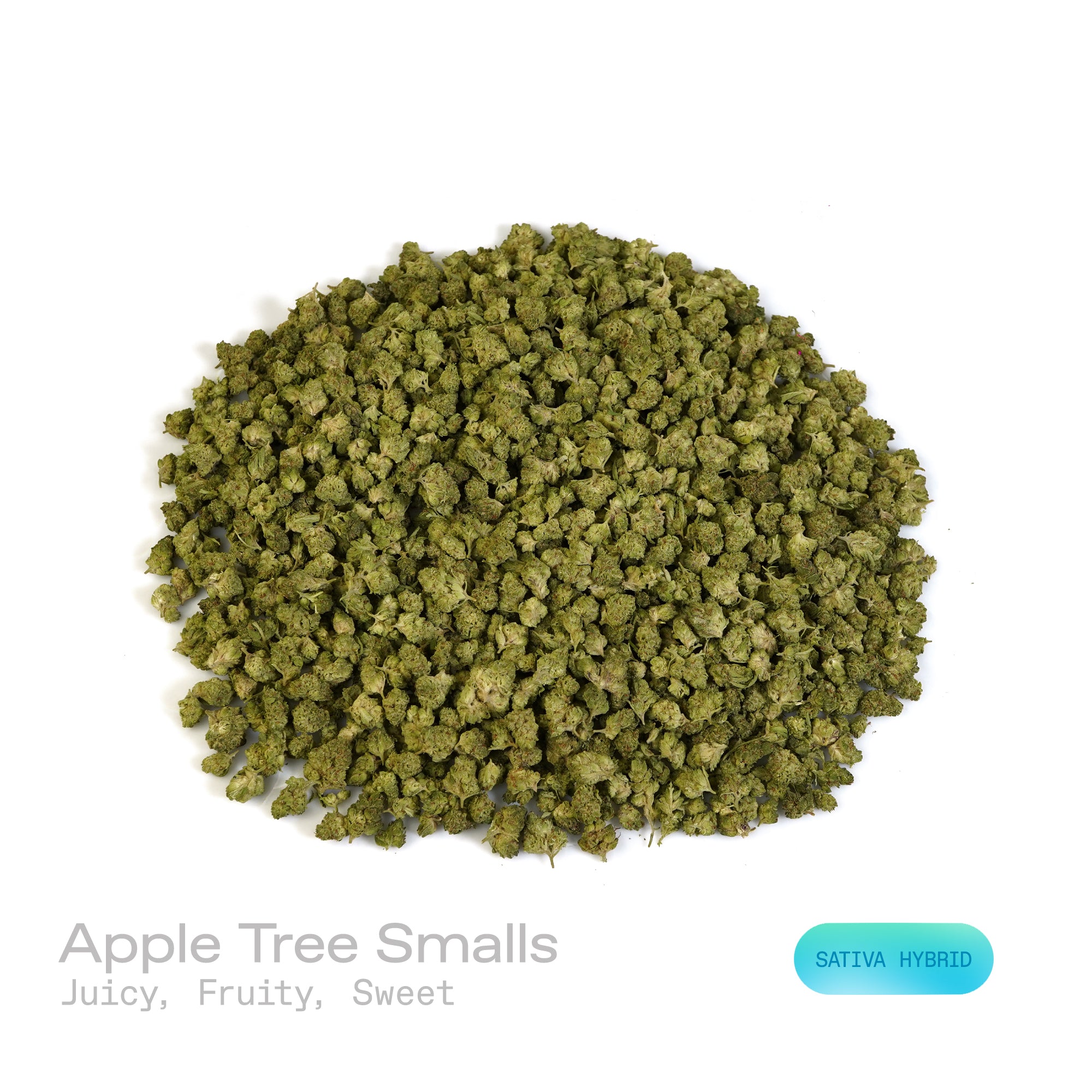 PUFFY Apple Tree Smalls is a sativa-dominant THCa hybrid, expertly crafted from a cross between Apple Fritter and Lemon Haze. The aroma is incredibly juicy, fruity, and sweet, bursting with lush apple notes and a candy-like finish that lingers on the senses. Visually, the buds are dense and tightly packed, showcasing vibrant green tones intertwined with fiery orange pistils and coated in a thick layer of sparkling trichomes that give them a frosted, crystal-like sheen. Consumers often describe it as a smoot