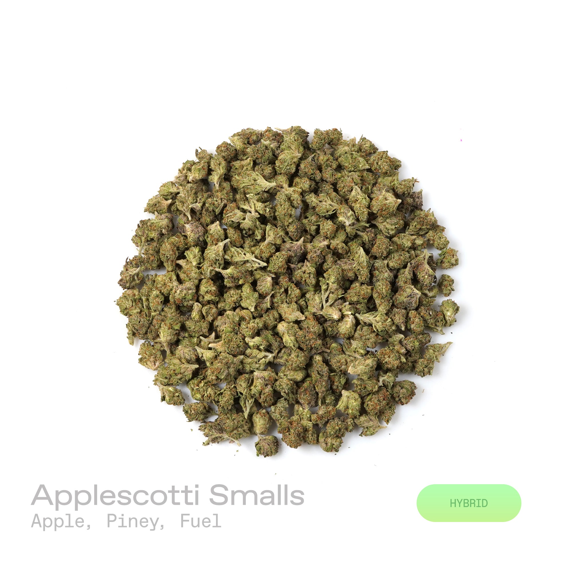 PUFFY Applescotti (smalls) is a balanced hybrid THCa strain, born from the flavorful cross between  Apples & Bananas and Biscotti. The aroma is a crisp and invigorating mix of fresh apple, piney freshness, and rich fuel-like undertones. The buds are dense and vibrant, showcasing lush green and deep purple hues, accented by bright orange pistils and a generous coating of sparkling trichomes. Consumers often report a balanced high that begins with uplifting, clear-headed mental effects, enhancing focus, mood,