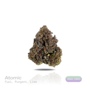 PUFFY Atomic is an indica-dominant hybrid THCa strain created by crossing Chemdawg and OG Kush, then further refined with THC Bomb. The aroma is a bold blend of sharp fuel notes complemented by a pungent intensity and a refreshing hint of lime. Visually, the buds are dense and dark forest-green, accented by vibrant orange pistils and a thick coating of glistening trichomes. Consumers often describe an initial wave of uplifting, euphoric cerebral effects that quickly elevate mood and enhance focus, gradually