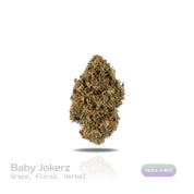 PUFFY Baby Jokerz is an indica-dominant hybrid THCa strain, created from the legendary pairing of White Runtz and Jet Fuel Gelato. The aroma is a delightful blend of sweet grape, delicate floral notes, and subtle herbal undertones, creating a fragrant and inviting scent. Visually, the buds are dense and rich in color, showcasing deep green and purple hues, vibrant orange pistils, and a generous coating of glistening trichomes. Consumers often report an initial euphoria, heightened focus, and an uplifted moo