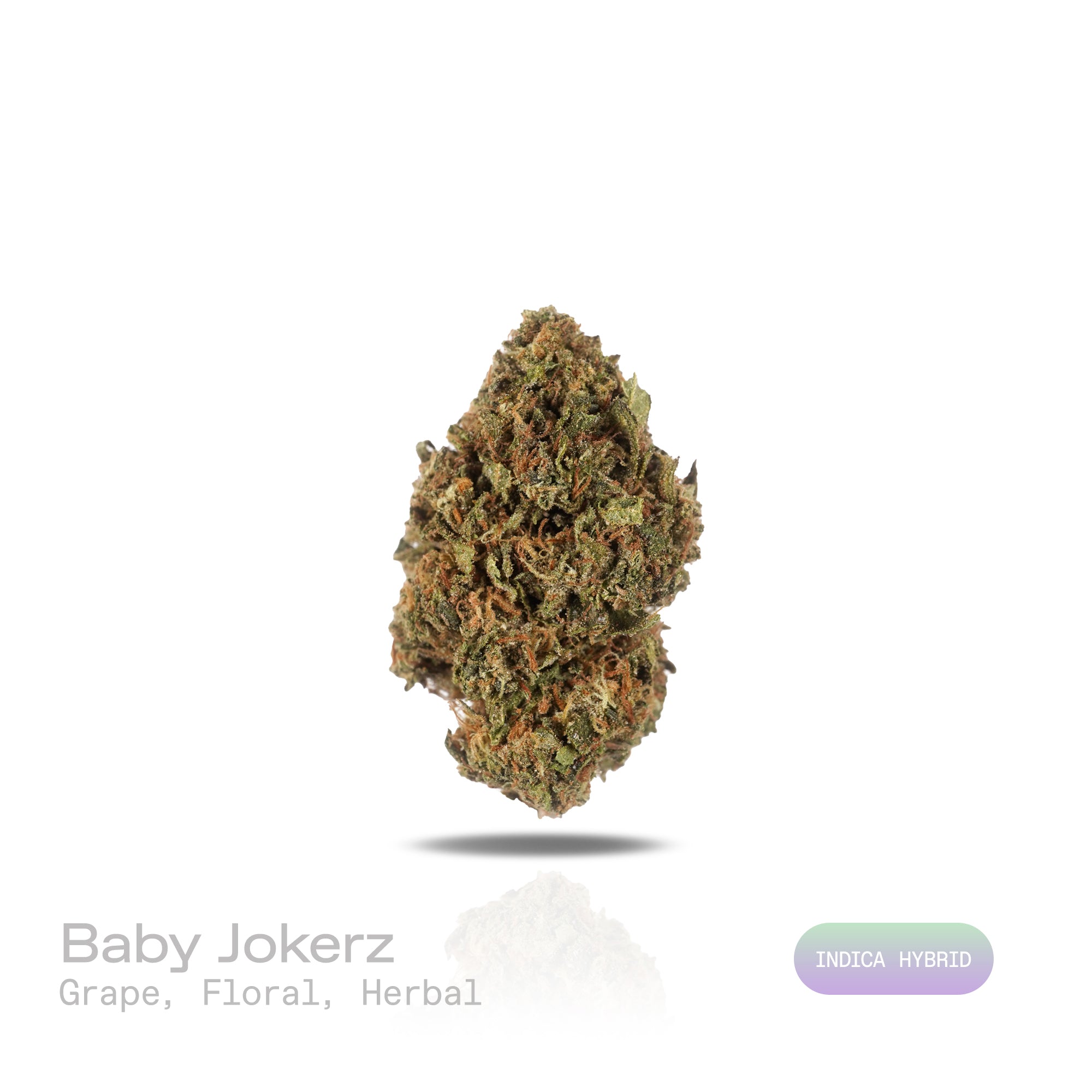 PUFFY Baby Jokerz is an indica-dominant hybrid THCa strain, created from the legendary pairing of White Runtz and Jet Fuel Gelato. The aroma is a delightful blend of sweet grape, delicate floral notes, and subtle herbal undertones, creating a fragrant and inviting scent. Visually, the buds are dense and rich in color, showcasing deep green and purple hues, vibrant orange pistils, and a generous coating of glistening trichomes. Consumers often report an initial euphoria, heightened focus, and an uplifted moo