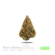 PUFFY Bacio Gelato is a balanced hybrid THCa strain born from the legendary cross of Sunset Sherbert and Thin Mint Girl Scout Cookies. The aroma is gassy, layered with earthy thyme and crisp pine, delivering a sharp yet refreshing sensory kick. Visually, buds are dense and chunky, with forest green and purple tones, fiery orange pistils, and a frosty trichome coating. Consumers describe it as gentle yet uplifting, providing clear-headed calm and a subtle mood boost that eases tension while keeping you prese