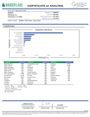 PUFFY Bacio Gelato is a premium balanced hybrid THCa strain born from the legendary cross of Sunset Sherbert and Thin Mint Girl Scout Cookies. The aroma is a rich and intriguing blend of sweet licorice, decadent chocolate, and pungent gassy undertones. Visually, buds are dense and chunky, with forest green and purple tones, fiery orange pistils, and a frosty trichome coating. Consumers describe it as gentle yet uplifting, providing clear-headed calm and a subtle mood boost that eases tension while keeping y