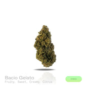PUFFY Bacio Gelato is a premium balanced hybrid THCa strain born from the legendary cross of Sunset Sherbert and Thin Mint Girl Scout Cookies. The aroma is a rich blend of fruity sweetness and creamy smoothness, brightened by a refreshing citrus twist. Visually, buds are dense and chunky, with forest green and purple tones, fiery orange pistils, and a frosty trichome coating. Consumers describe it as gentle yet uplifting, providing clear-headed calm and a subtle mood boost that eases tension while keeping y