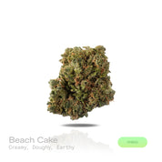 PUFFY Beach Cake is a balanced hybrid THCa strain, born from the flavorful cross of Triangle Kush × Florida Cake. The aroma unfolds with creamy, doughy richness, balanced by a grounding earthy finish.  Visually, the buds are dense and deep green, accented by bright orange pistils and a frosty trichome coating. Consumers often describe an energizing and euphoric experience that sparks sociability, heightens mood, and leaves a tingling, uplifting sensation.
