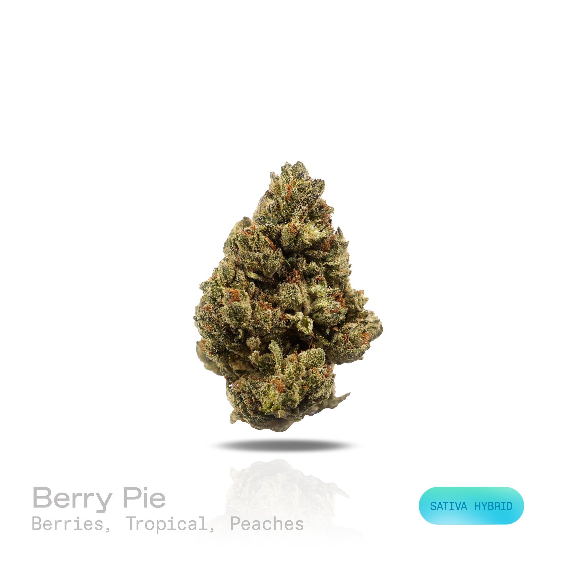 PUFFY Berry Pie is a sativa-dominant hybrid THCa strain, created by crossing Girl Scout Cookies (GSC) and Blueberry. The aroma exudes a luscious blend of ripe berries, tropical sweetness, and juicy peaches, offering a vibrant and fruity fragrance that’s both refreshing and indulgent. Visually, dense green buds with hints of purple and bright orange pistils glisten under a coat of frosty trichomes. Consumers often report an uplifting, euphoric high that sharpens focus and boosts energy, helping ease feelings