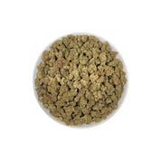 PUFFY Big Purps is an indica-dominant hybrid THCa strain, Its lineage is most often traced back to the esteemed Kashmiri genetics. The aroma is a complex blend of musky undertones, herbal freshness, and subtle chemical notes, creating a distinctive and intriguing scent profile. Visually, dense deep green buds with purple hues and fiery orange pistils are coated in sticky trichomes. Consumers often report a deep sense of relaxation and body ease, an uplifted mood or gentle cerebral onset, and increased appet