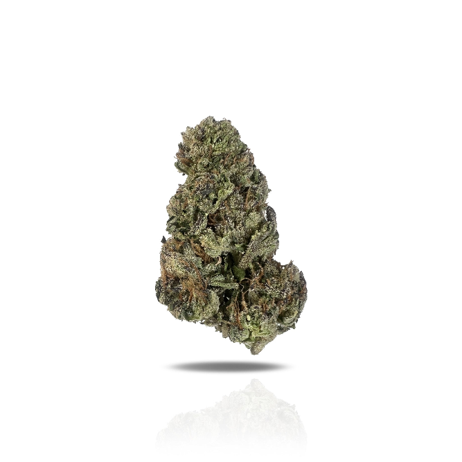 PUFFY Biscotti is an indica-dominant hybrid THCa strain born from the flavorful cross of Gelato #25 and South Florida OG. Known for its rich and complex profile, it offers a delicious blend of sugary cookies, roasted nuts, and warm spices, complemented by subtle undertones of diesel and earthiness. The aroma leans creamy and doughy with a refreshing hint of menthol. Visually, the buds are strikingly dense and resin-coated, with a deep olive-green base accented by rich purple hues. Consumers often report the