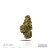 PUFFY Biscotti is an indica-dominant hybrid THCa strain born from the flavorful cross of Gelato #25 and South Florida OG. The aroma blends sweet notes of honey and caramel with a sharp, gassy undertone. Visually, the buds are compact and rock-like with rich green to dark jade tones, occasional violet streaks, fiery orange pistils, and a sparkling resin coating that gives them a candied appearance. Consumers often report the high as a balanced experience that starts with a cerebral uplift, sparking creativit