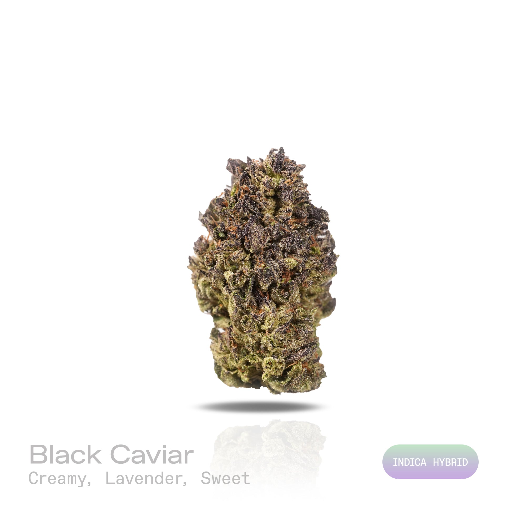 PUFFY Black Caviar is an indica-dominant hybrid THCa strain, born from the legendary cross of Fire OG and The Black. The aroma is a delightful blend of creamy and sweet notes, beautifully complemented by a subtle hint of lavender. Visually, the buds are dense and vibrant green with purple hues, accented by orange pistils and coated in a thick layer of sticky, crystal-like trichomes. Consumers often report a strong, uplifting cerebral buzz that gradually melts into deep physical relaxation, easing tension an