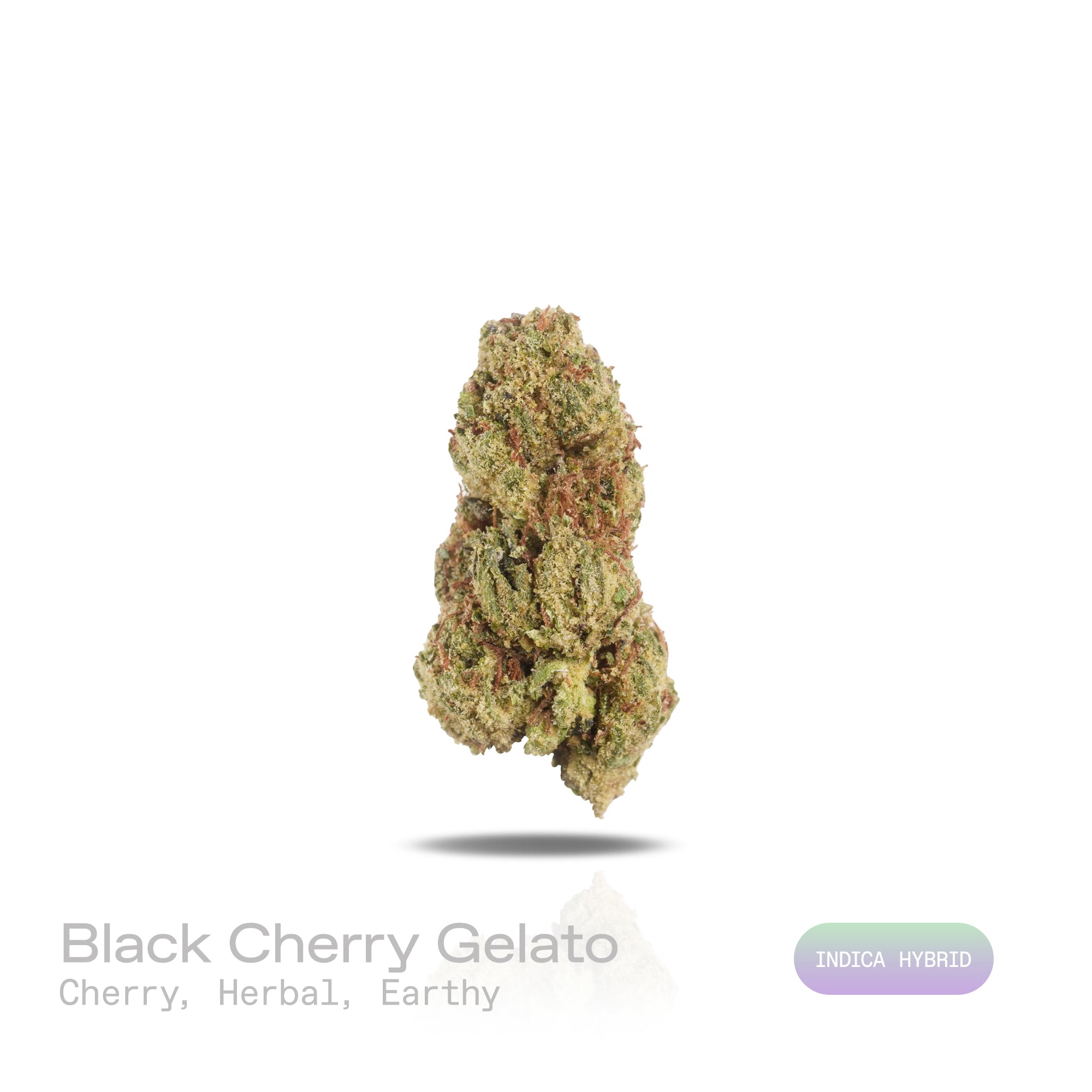 PUFFY Black Cherry Gelato is an indica-dominant hybrid THCa strain, crafted from the legendary lineage of Black Cherry Funk and Acai (Gelato). The aroma opens with sweet, ripe cherry notes, layered with fresh herbal nuances and a grounding earthy undertone. Visually, the buds are compact and resinous, showcasing rich forest-green tones with occasional purple accents, bright orange pistils, and a sparkling layer of trichomes. Consumers often report an uplifting, euphoric, and focused cerebral high that gradu