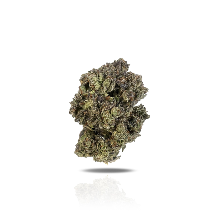 PUFFY Black Ice is a premium Indica-dominant hybrid THCa strain, expertly crafted from the powerful genetic pairing of Black Domina and White Widow. The aroma is rich and complex, blending bold gassy notes with deep earthy undertones and a subtle smoky finish, perfectly mirrored by its equally robust and flavorful taste. Visually, this strain is known for its dense, frosty buds coated in a thick layer of white crystals, showcasing hues that range from dark mint-green to deep purple, accented by vibrant oran