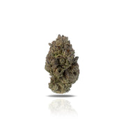 PUFFY Black Lemon Cherry Gelato THCa provides a balanced high with uplifting mental stimulation and soothing physical relaxation. Users often experience a boost in mood and creativity, coupled with a calming effect that helps ease stress and tension. This heavy hybrid strain’s diverse lineage includes GSC, Sunset Sherbert, Acai, and Black Cherry Funk, contributing to its versatile effects. It generally offers a harmonious experience, suitable for both social activities and unwinding.